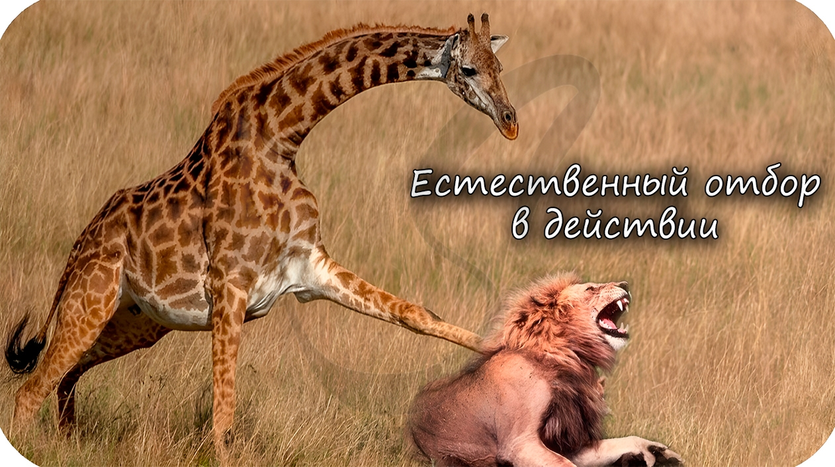 взято из открытого источника