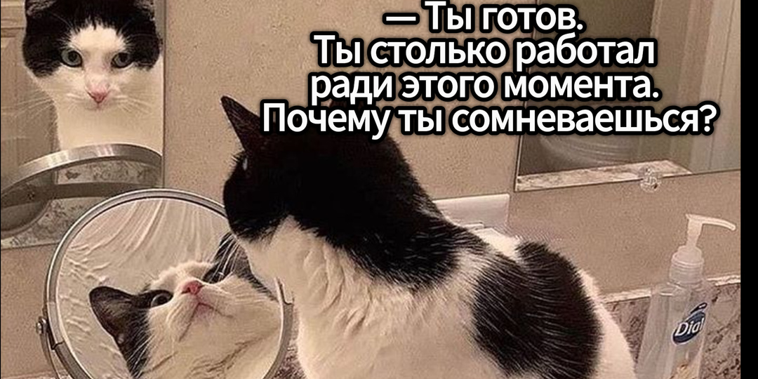 Почему мы боимся успеха? Объяснение в котиках