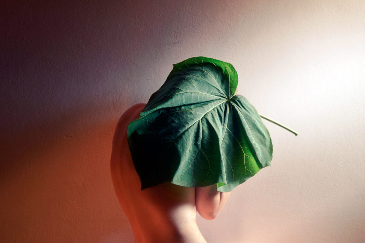 Разум и тело — это единое целое, и наши убеждения могут значительно влиять на наше здоровье