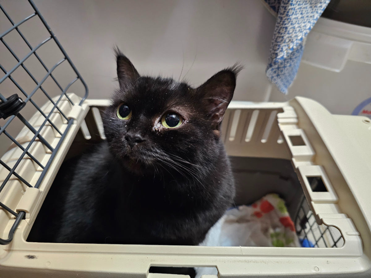 Фото автора. Миля.