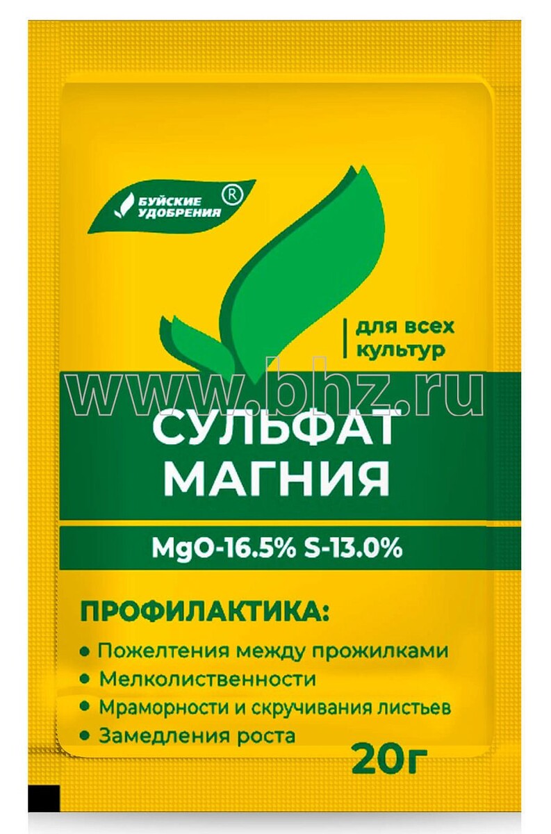 Это галерея. Здесь находится пять картинок