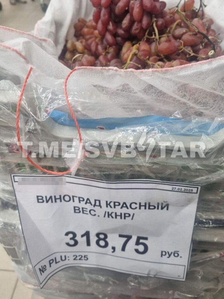    Фото: телеграм-канал SVBSTAR