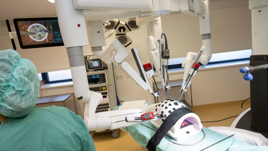    Фото: Stefan Sauer/Globallookpress