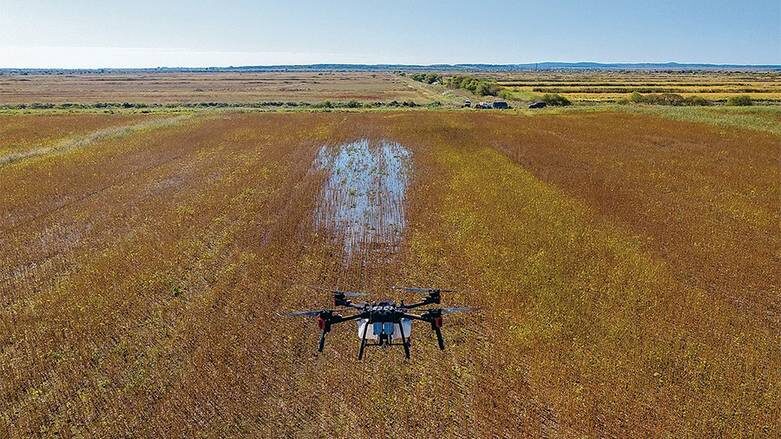    ЮРИЙ СМИТЮК/ТАСС: Использование беспилотников позволяет сократить объем вносимых удобрений