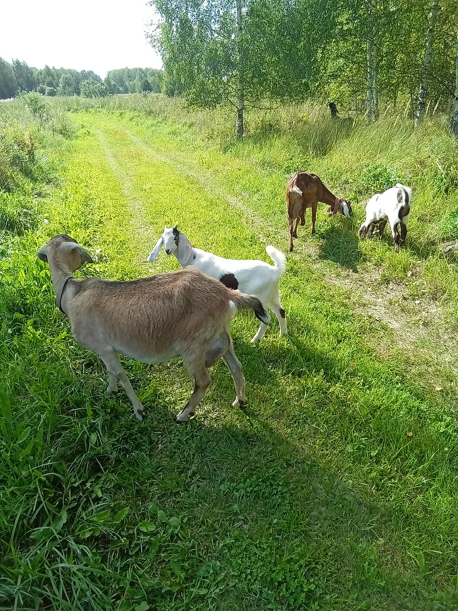 Фото автора.