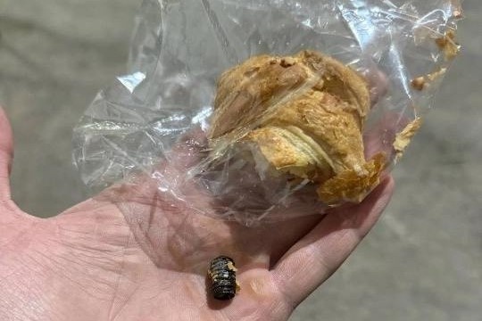    Фото: КП-Новосибирск