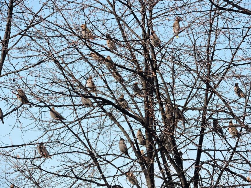    Фотография Анны Зубаревой