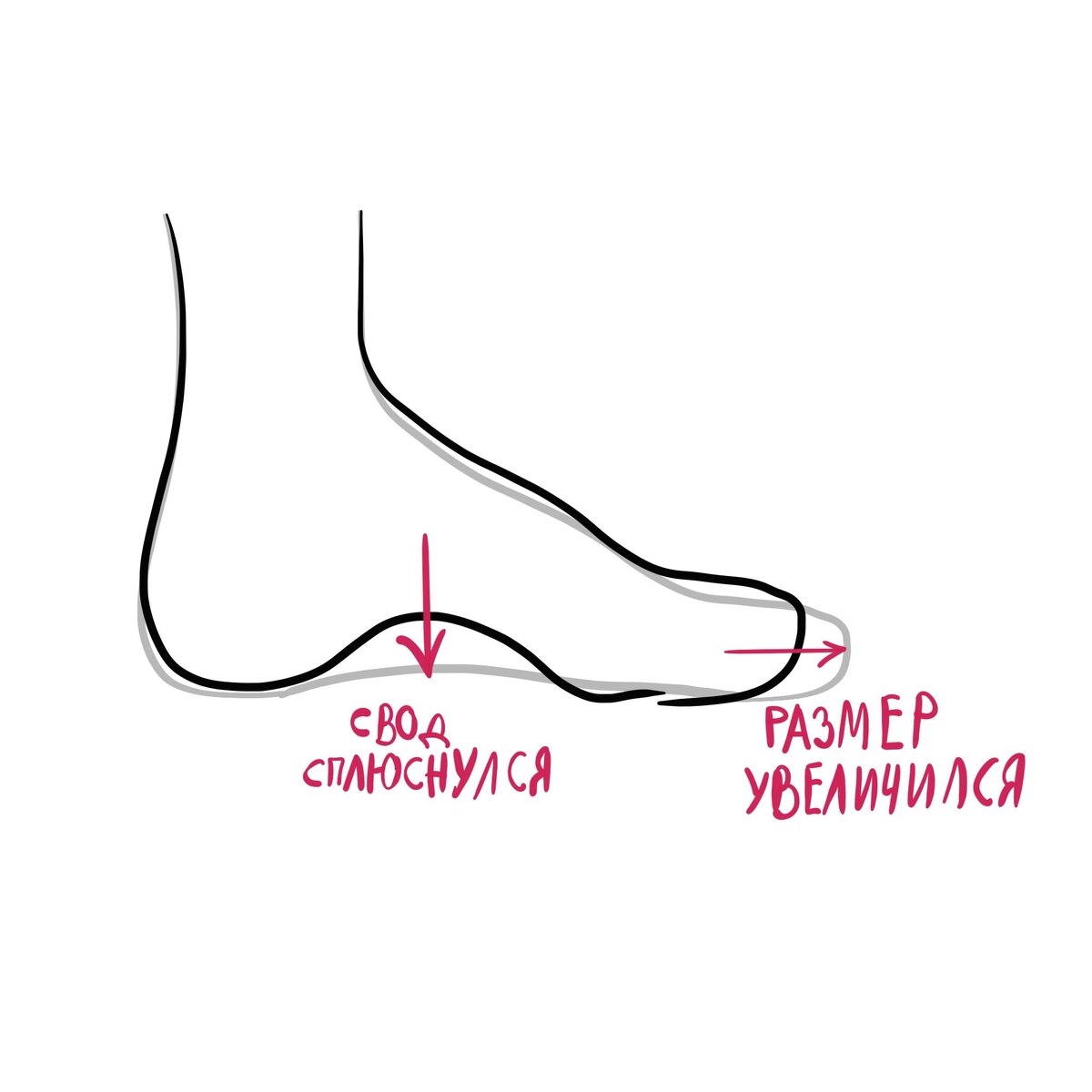 Свод сплюснулся