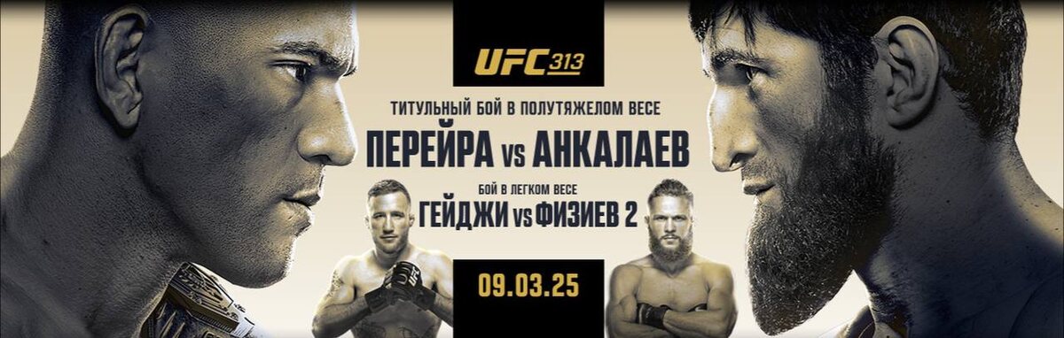     Постер UFC 313