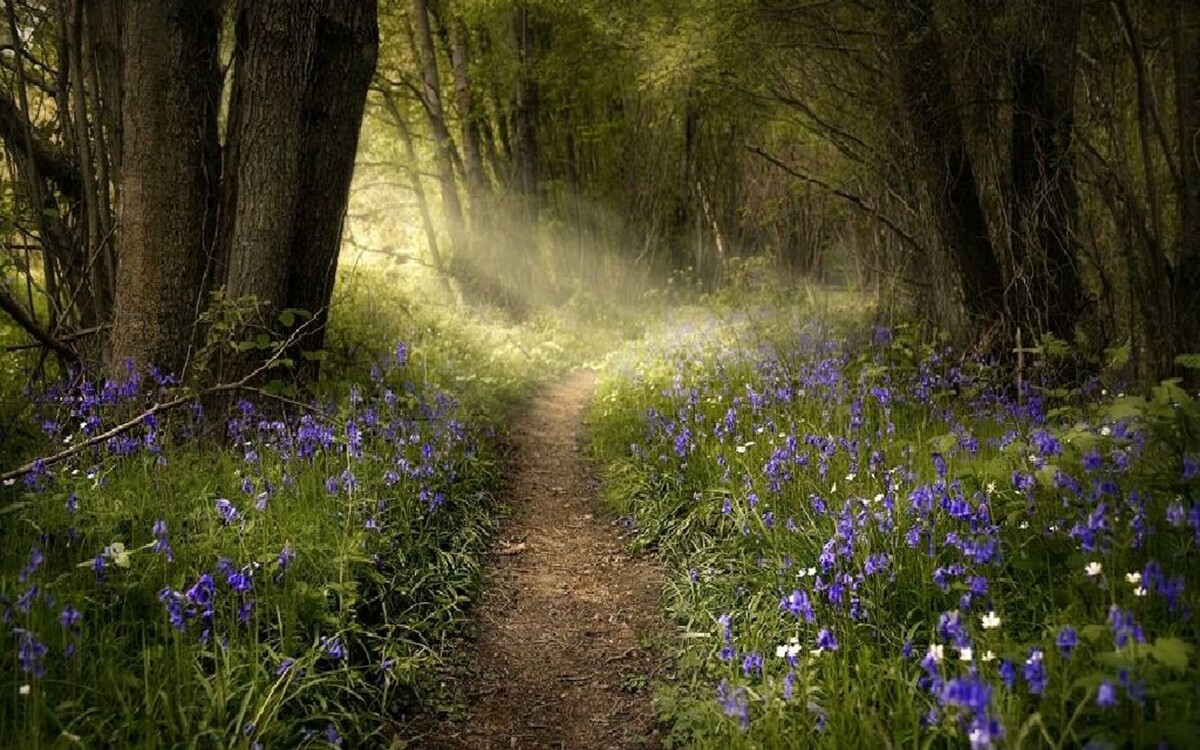 Яндекс.Картинки