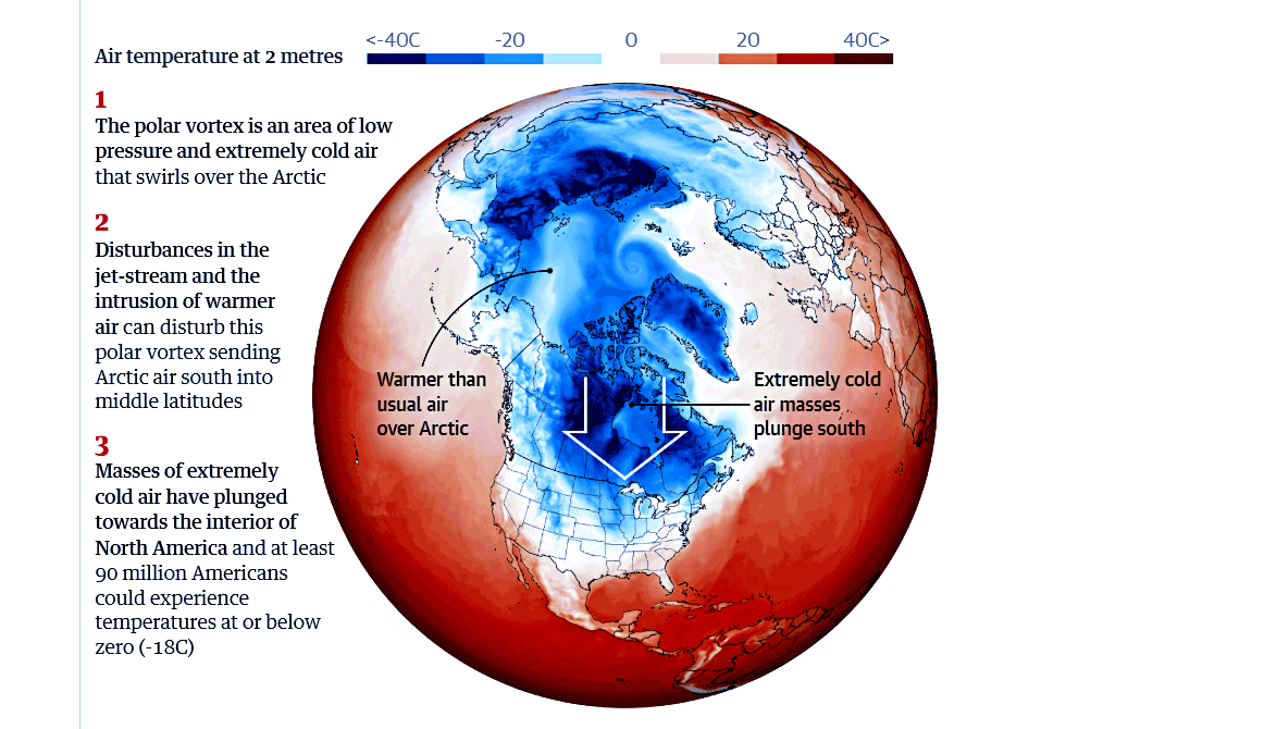 29 января 2019 года. Полярный вихрь над Северной Америкой. Источник: wildfact.com