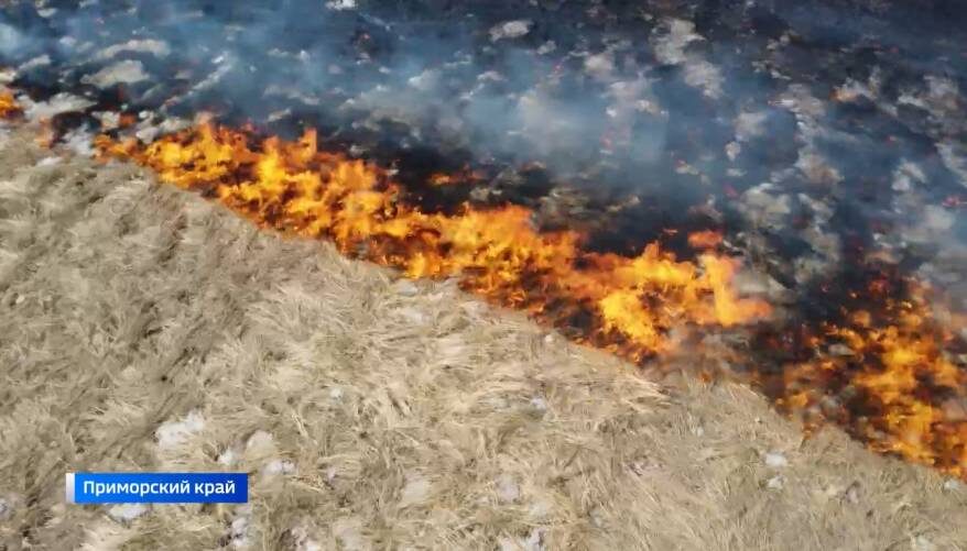    Источник фото: