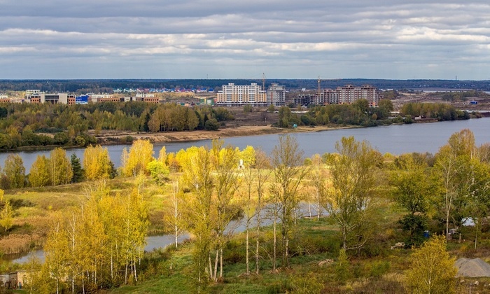    Московские леса остались без охраны