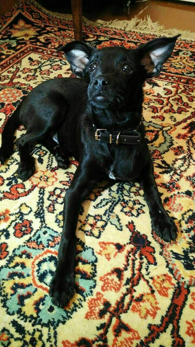 Первое фото