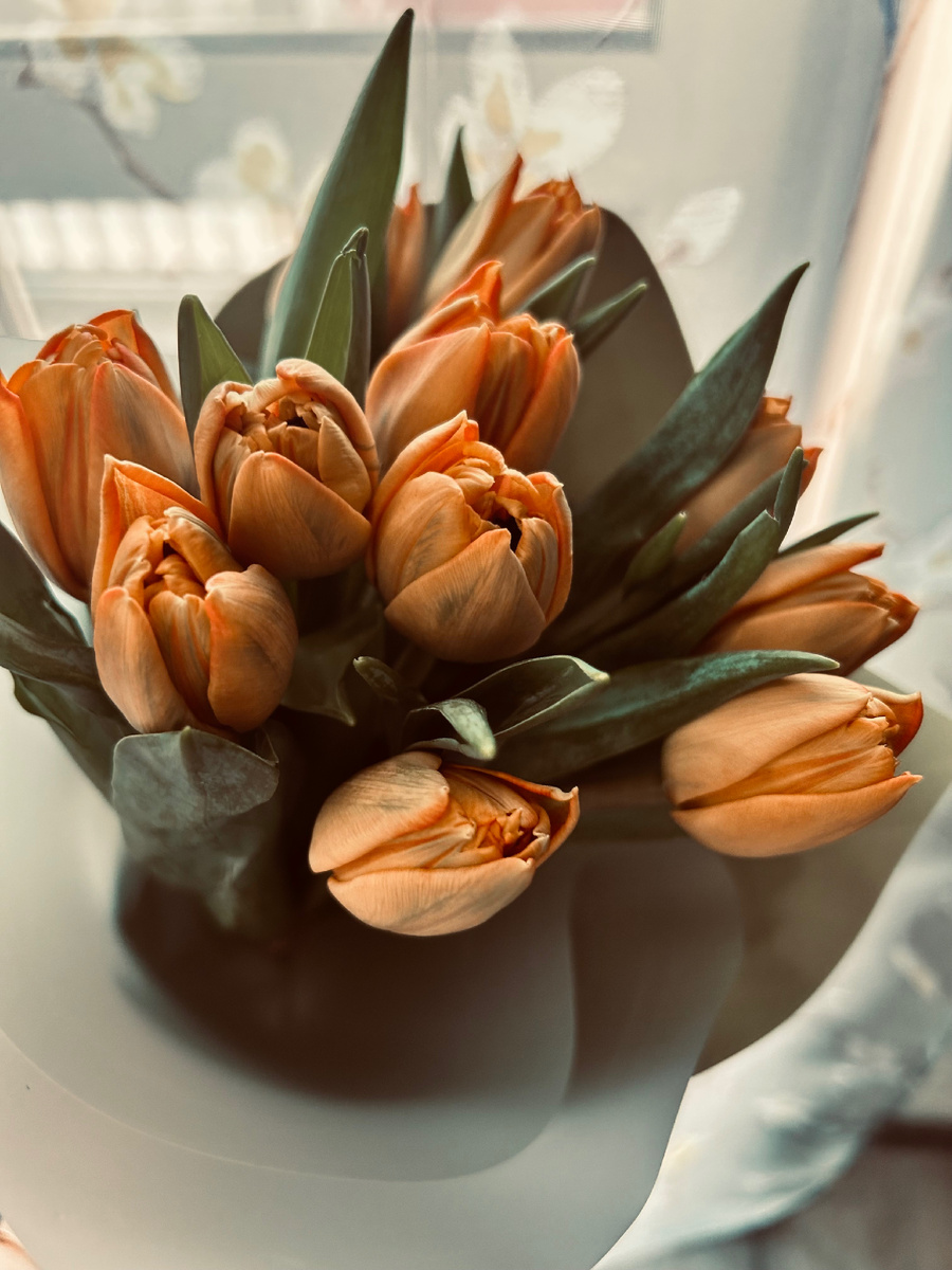 Так началась моя весна. Фотография автора канала.