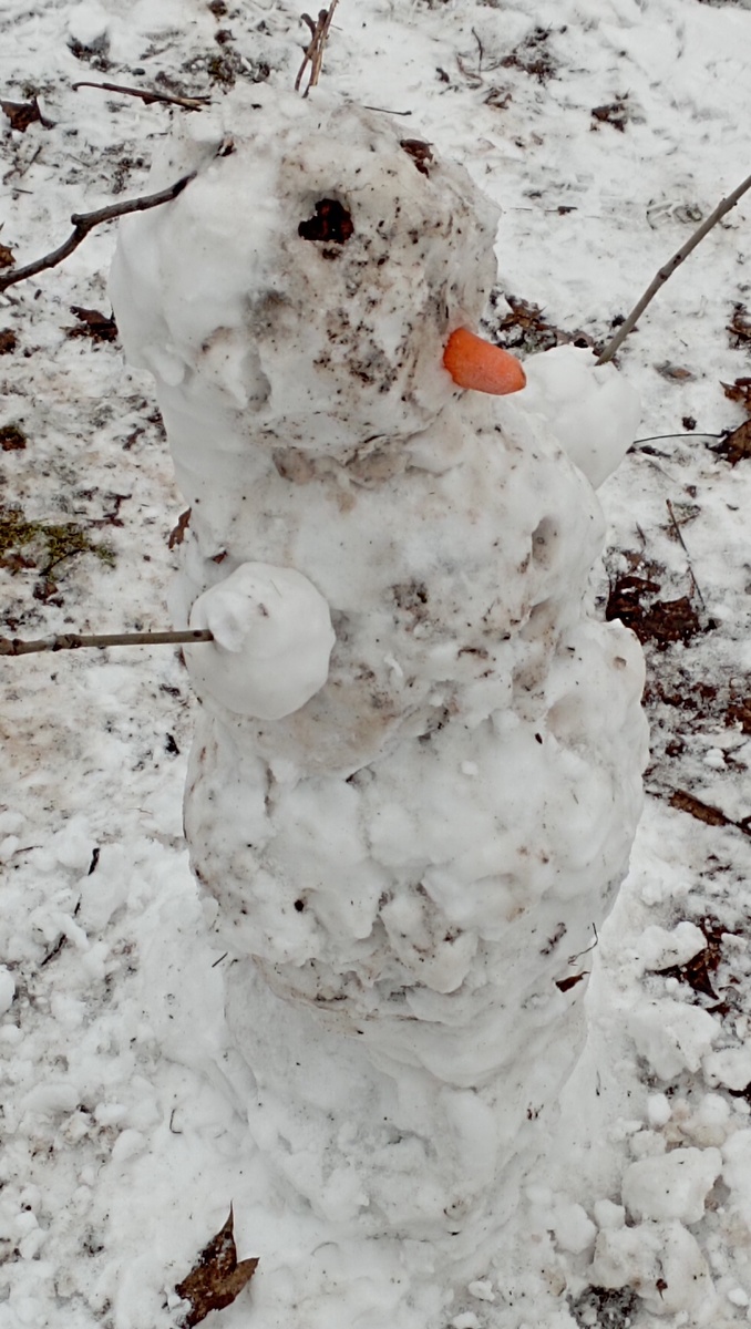 Это  фото сделано три дня назад, вроде.Не помню...