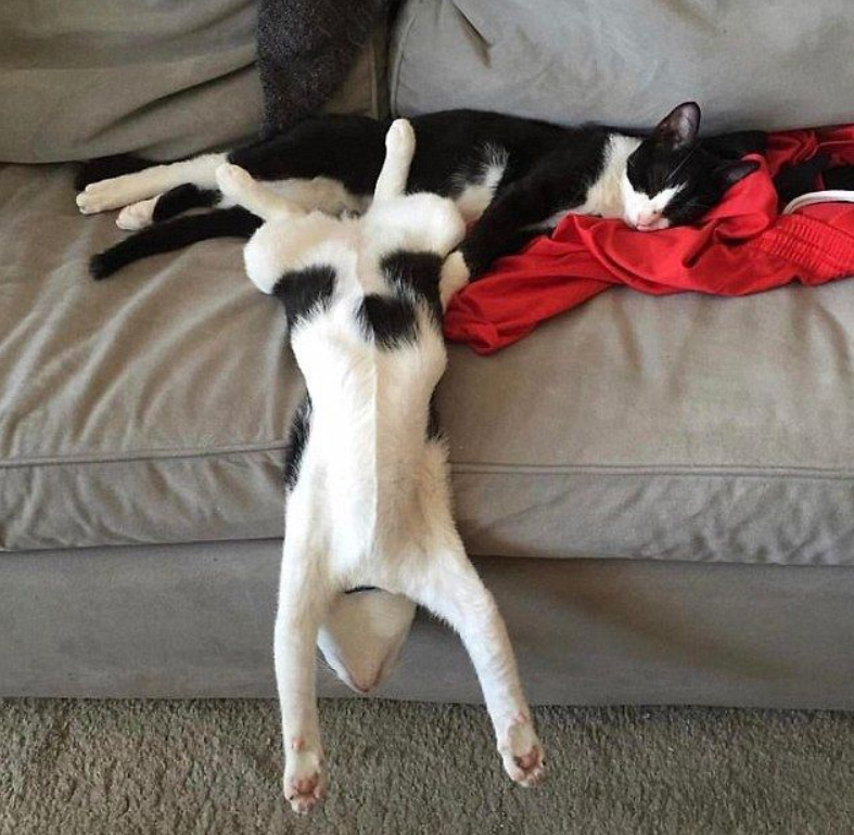 Фото: pinterest.ru