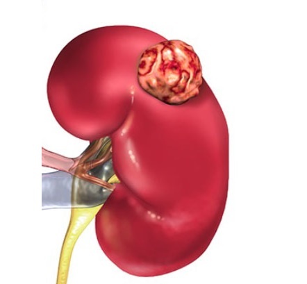 изображение из свободного доступа