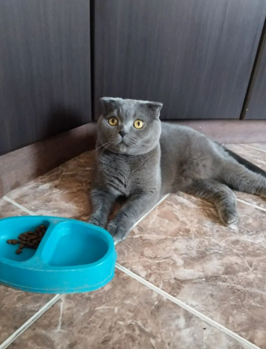 Это не он 😃, просто надо было как то текст разбавить🤣