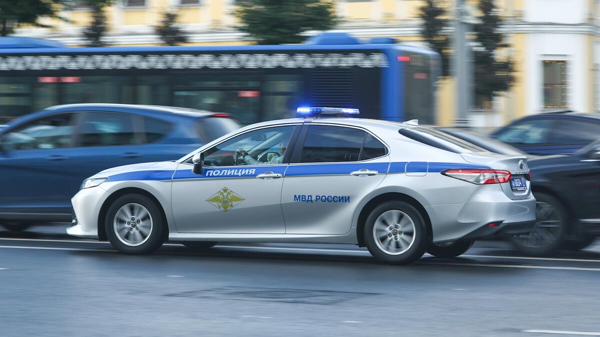    Фото: Petrov Sergey/news.ru