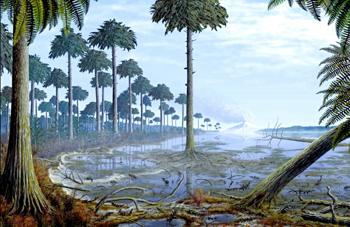 Ископаемый лес Девона, первые деревья Земли – Археоптерисы. Иллюстрация: naked-science.ru