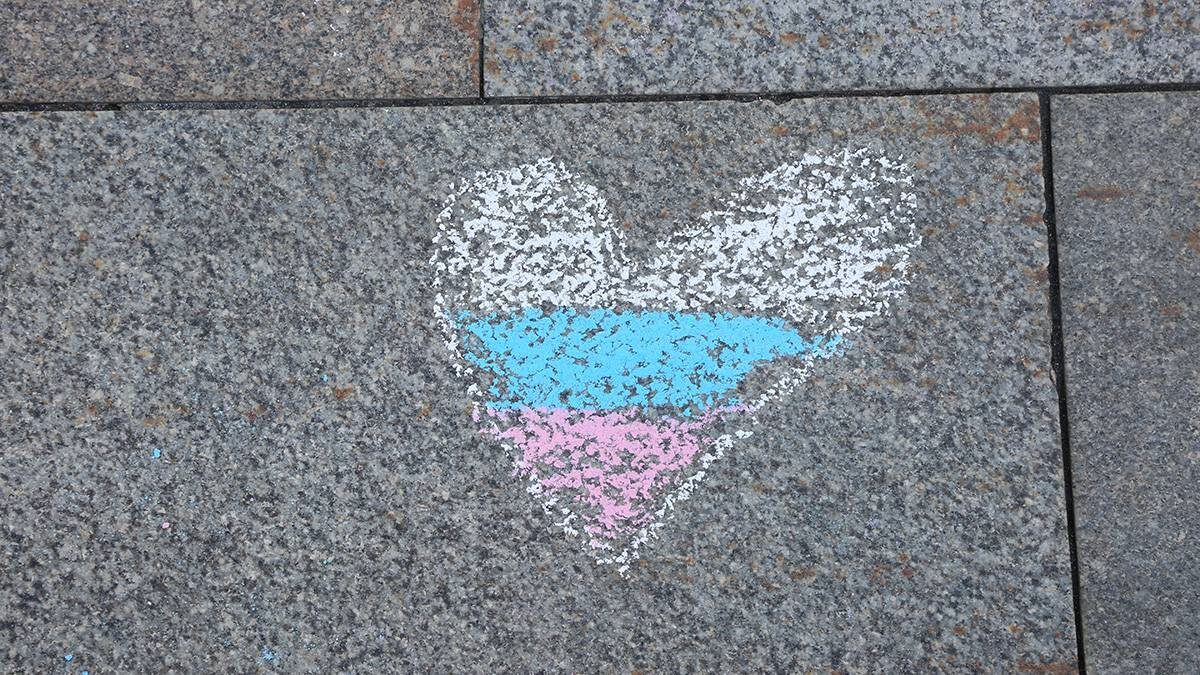    Фото: Наталья Шатохина / Вечерняя Москва