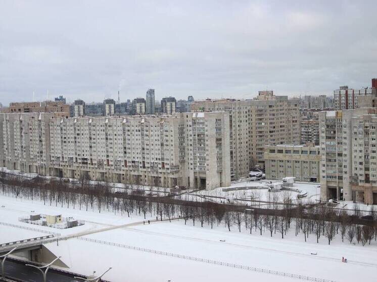     Фото: МК в Питере