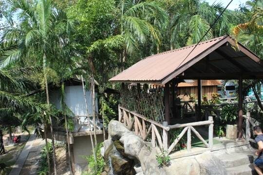    Российские туристы заражаются лихорадкой денге на курортах Таиланда