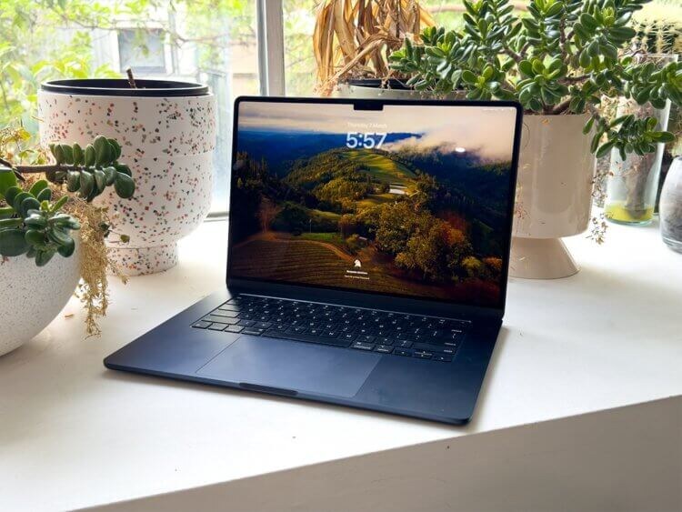 Изображение: manofmany.com