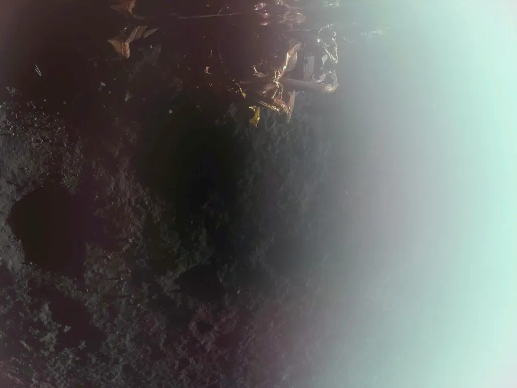 © Firefly Aerospace