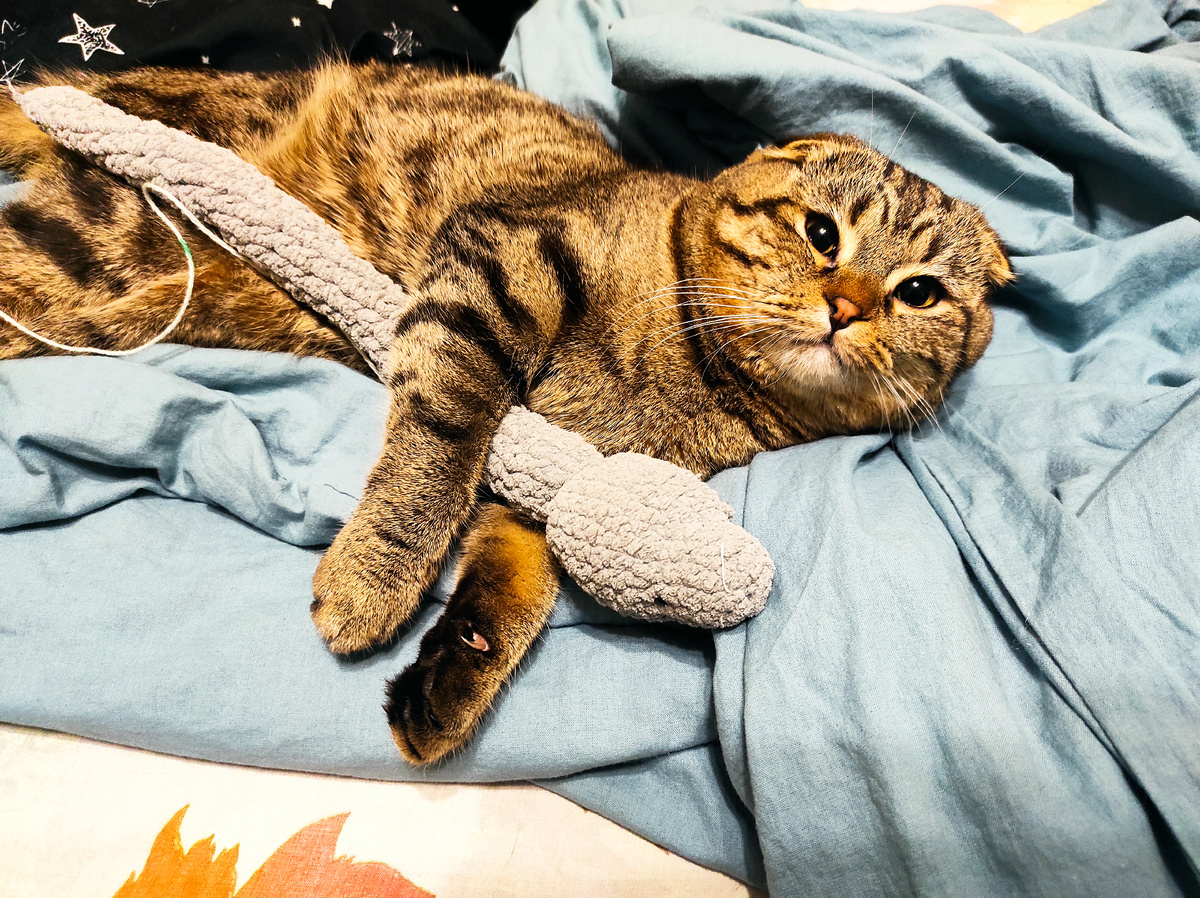 Поймал) Знатная добыча