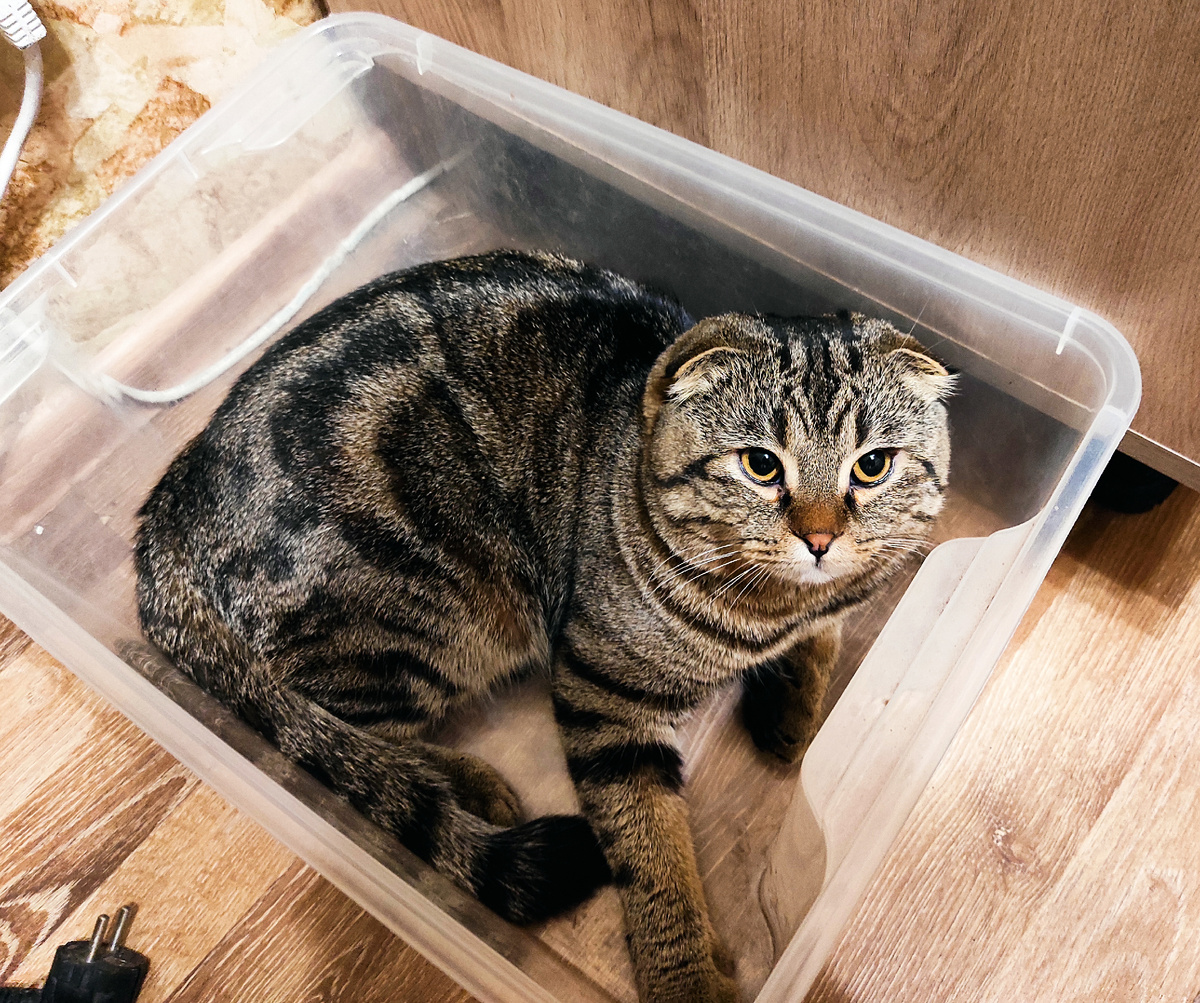 В укрытии 😀