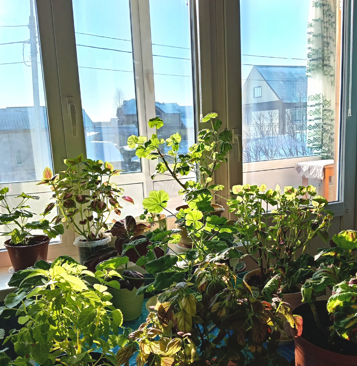 Фото из личного архива автора. 