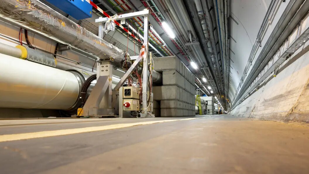    Фото: IMAGO/Zoonar.com/Cylonphoto/Globallookpress