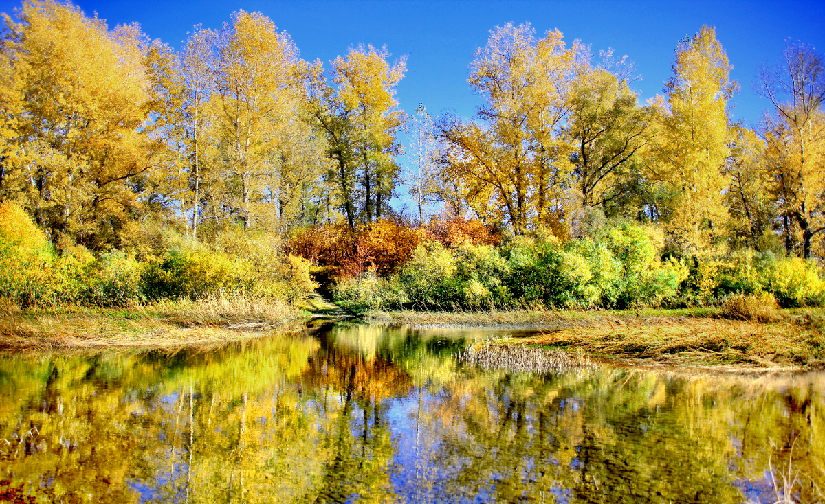 Фотография, стихотворение Василия Глуцкого