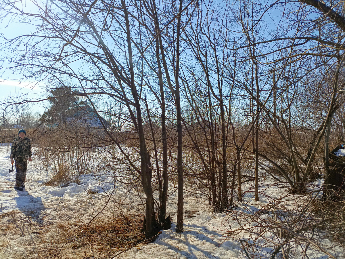 Территория большая, места хватает, только расчистить её надо. 😁