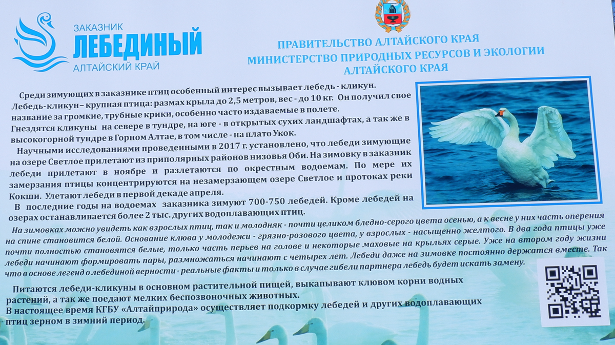 Информационный стенд, кому интересно - почитайте