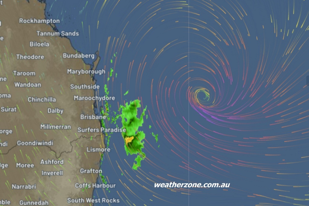 Альфред в океане неподалёку от Брисбена