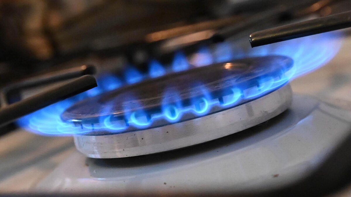    Фото: Anna Ross/globallookpress.com