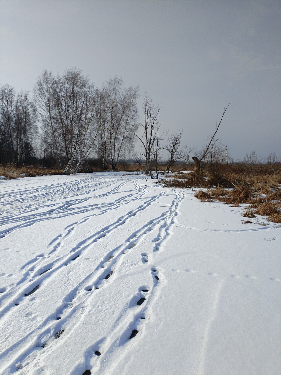 Место тихое, спокойное. Летом тут болото.