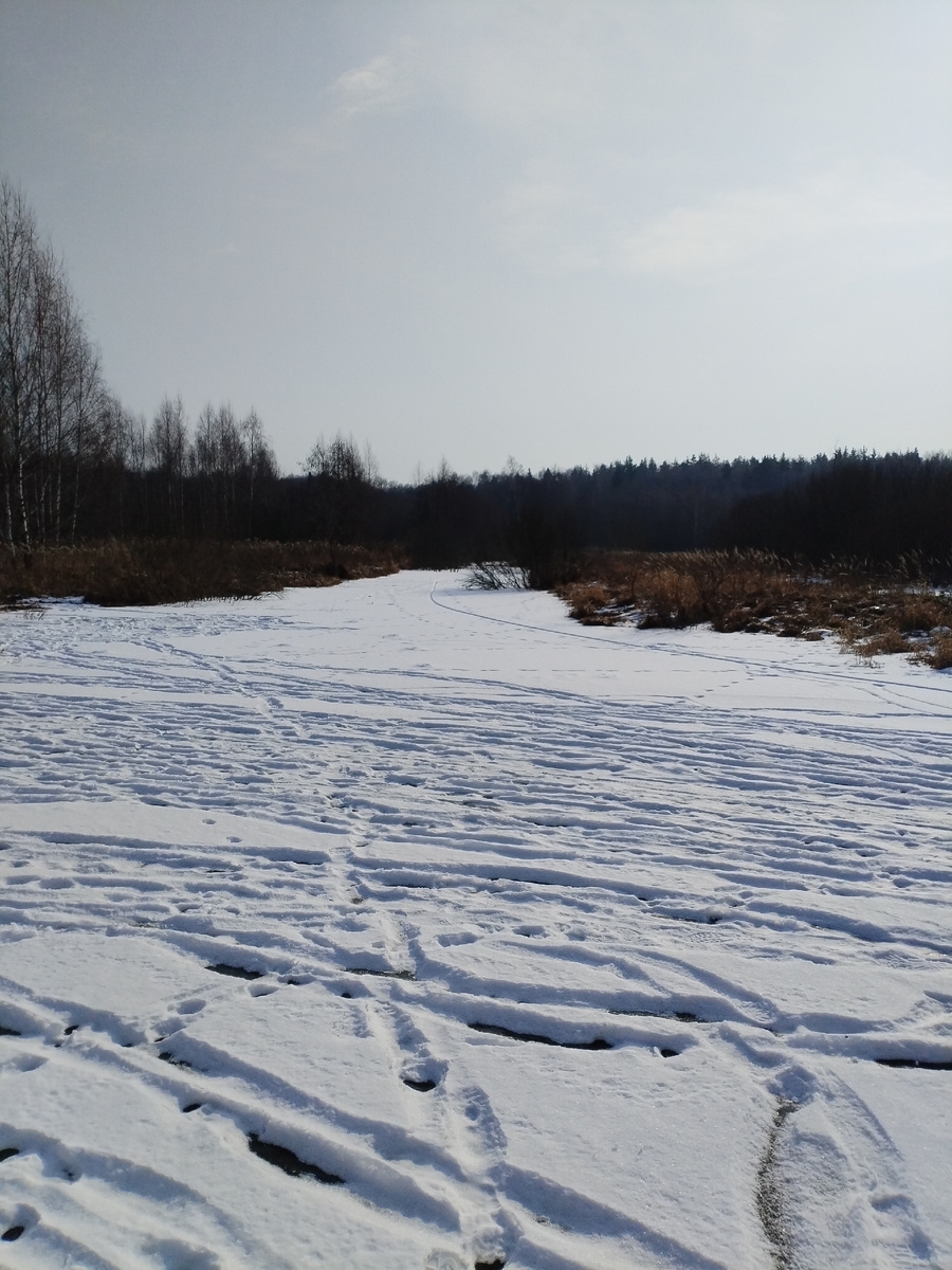 Притоки речные, в воде много коряг.