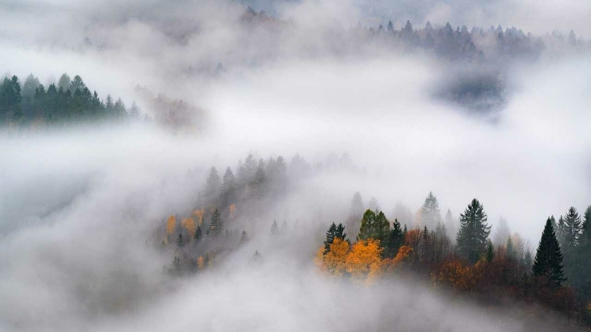 Картинка из интернета 