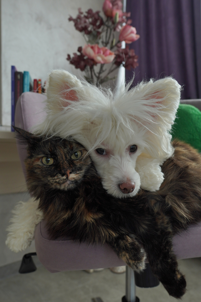 Очаровательные Мира и Нарни