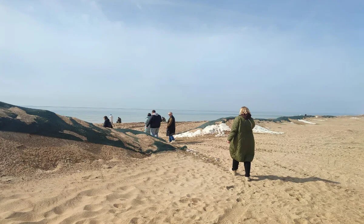    Два полюса: ситуация с мазутом на пляжах севера и юга Анапы