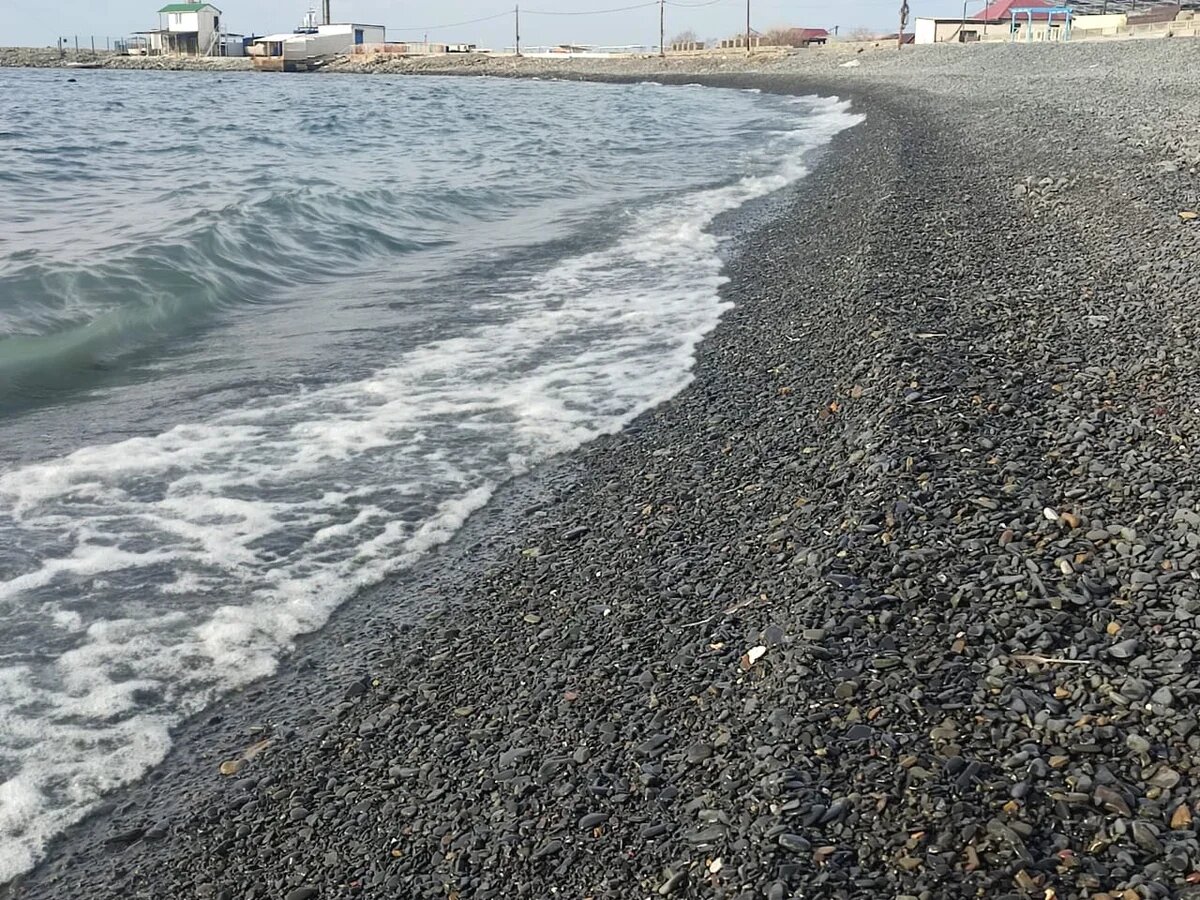    Пляж, Большой Утриш, Анапа. 2 марта 2025 года. Здесь не было мазута и нет нужды что-либо чистить. Фото: АТОР