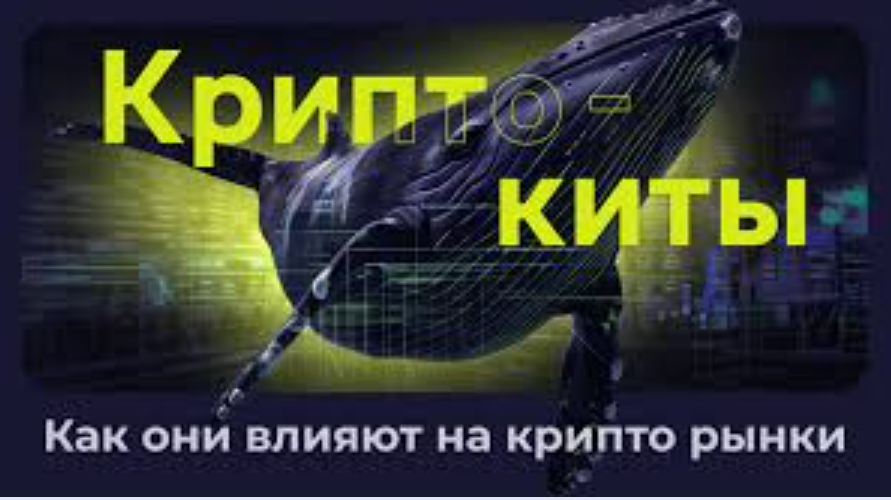 Кто такие крипто-киты и как они двигают рынок