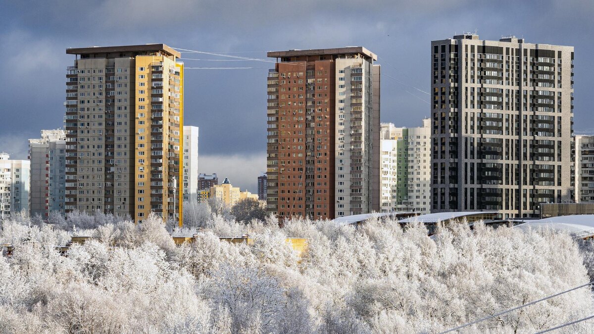 Фото: ИЗВЕСТИЯ/Константин Кокошкин