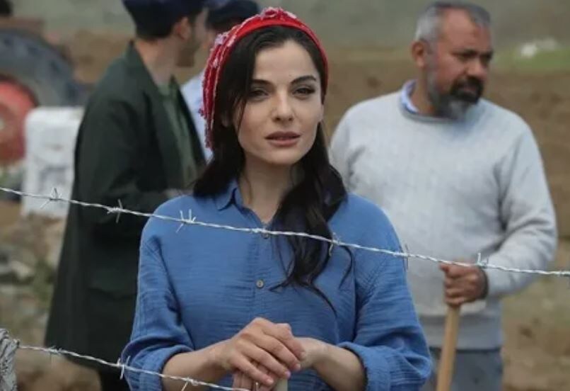 Легенда о чёрном дереве: кадр из фильма