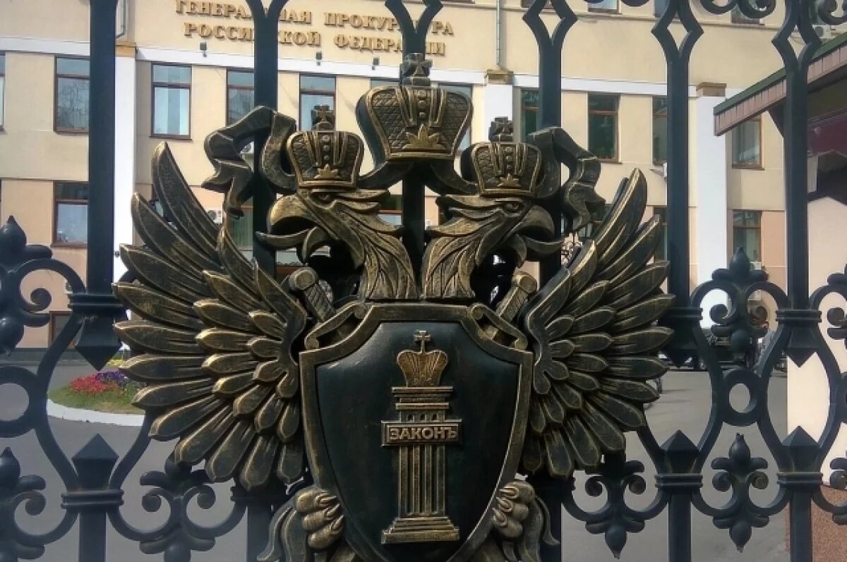    Генпрокуратура признала нежелательной антироссийски настроенную НКО в ЕС
