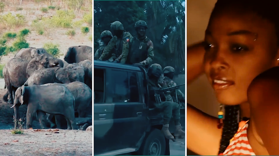 Фото: © Использованы материалы: кадры из программы "Невероятно интересные истории" , РЕН ТВ